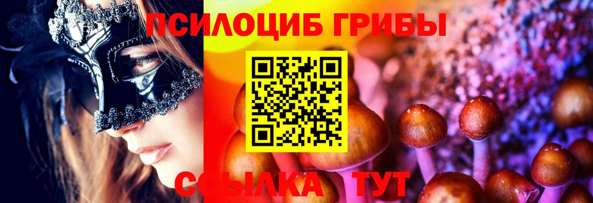 Галлюциногенные грибы Psilocybine cubensis Кинешма