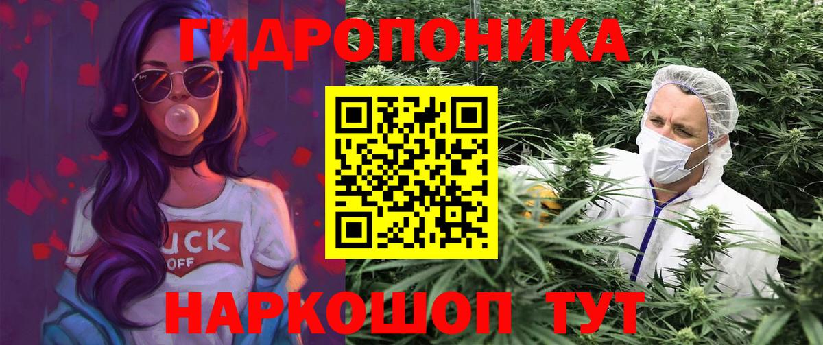 Конопля планчик Кинешма